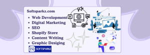Softsparkz about us and providin services